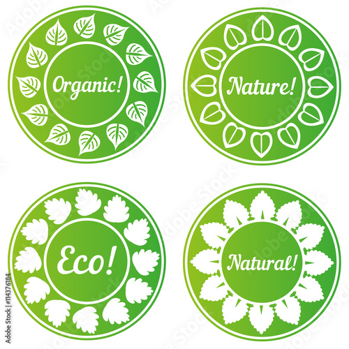 Circle frame of green leaves isolated on white background. ECO illustration. Nature set. BIO design