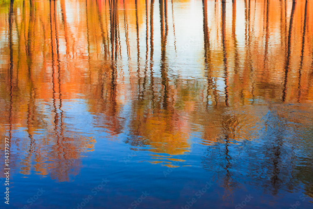 Reflection of Trees woods in river Water During A Spring Flood. 