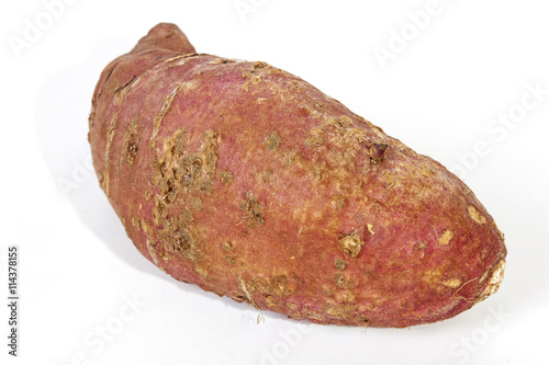 Close up of Blemishes on Sweet Potato Skin