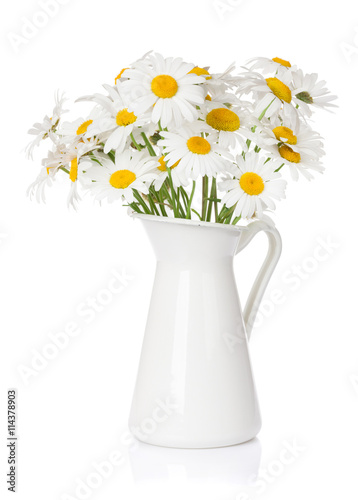 Daisy chamomile flowers