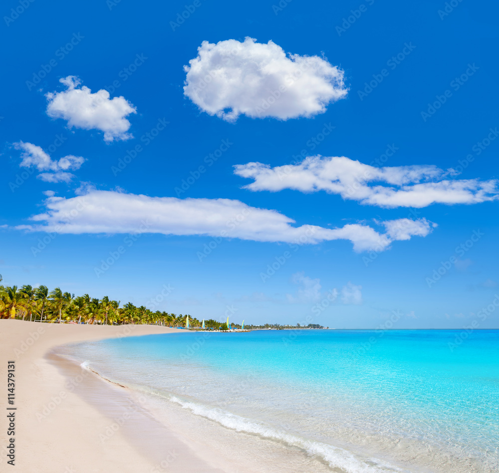 Key west florida Smathers beach palm trees US