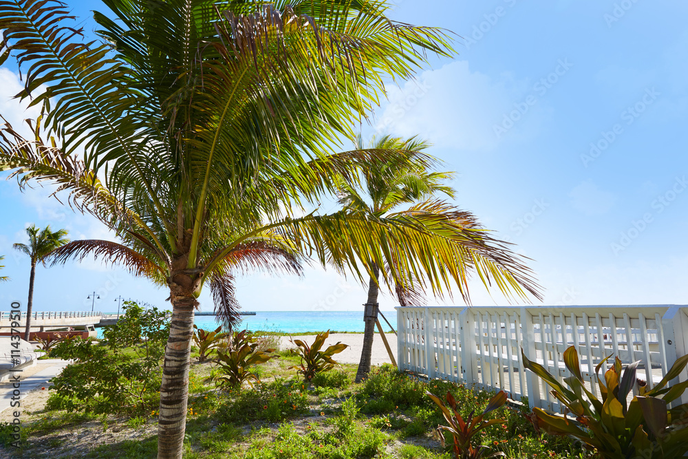 Obraz premium Key west florida beach Clearence S Higgs