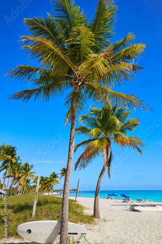 Fototapeta Naklejka Na Ścianę i Meble -  Key west florida Smathers beach palm trees US