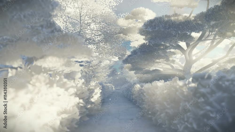 Paper garden in winter, sun shining between trees
