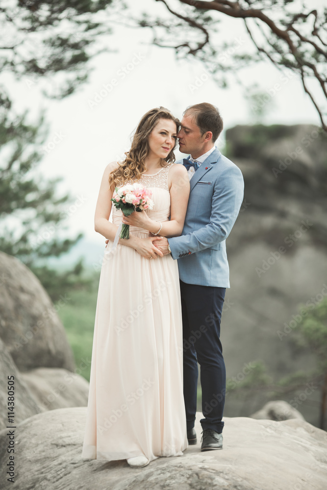 Wedding couple in love kissing and hugging near rocks on beautiful landscape Wedding couple in love kissing and hugging near rocks on beautiful landscape
