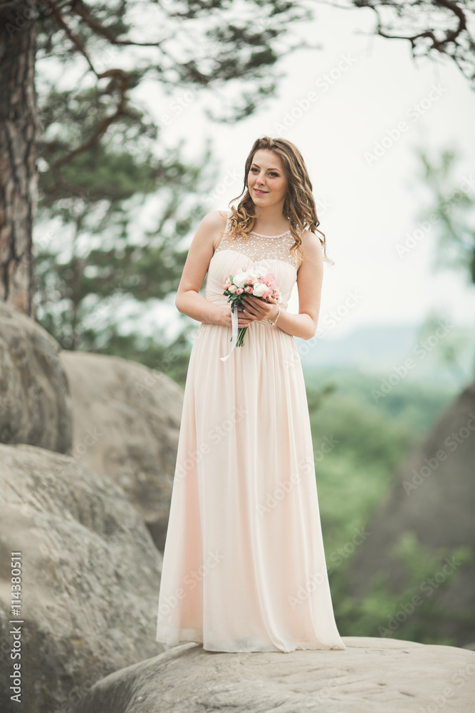 Beautiful bride posing near rocks against background the mountains