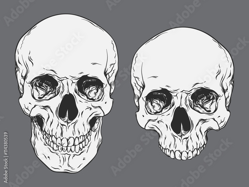 Hand drawn line art anatomically correct human skulls set isolated vector illustration