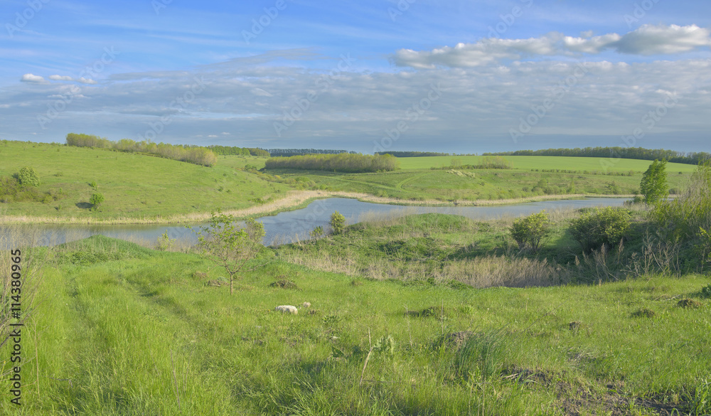 Obraz premium Summer scene 