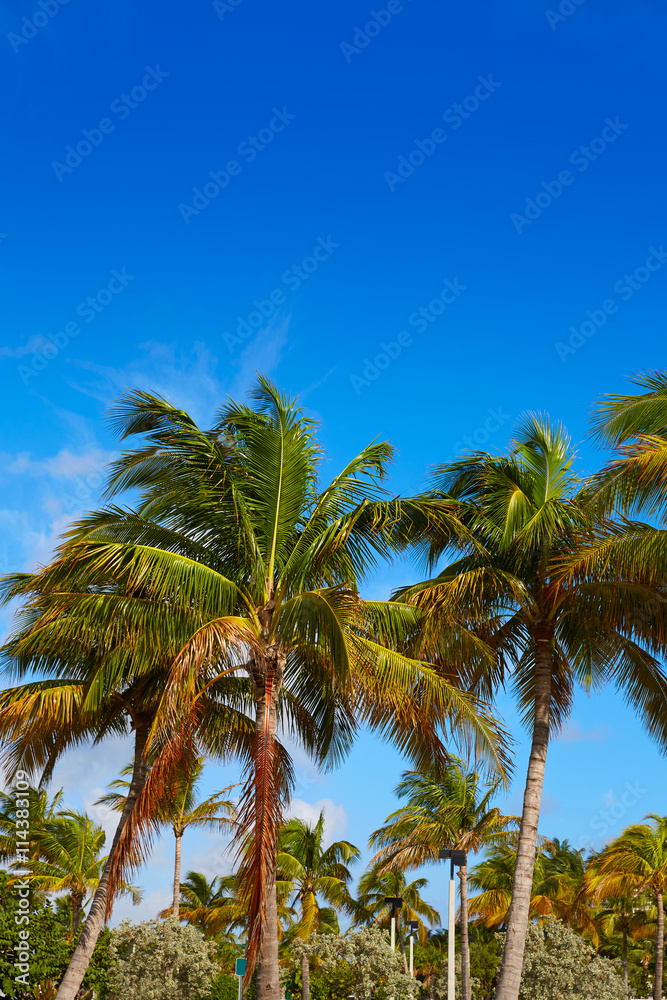 Singer Island beach at Palm Beach Florida US