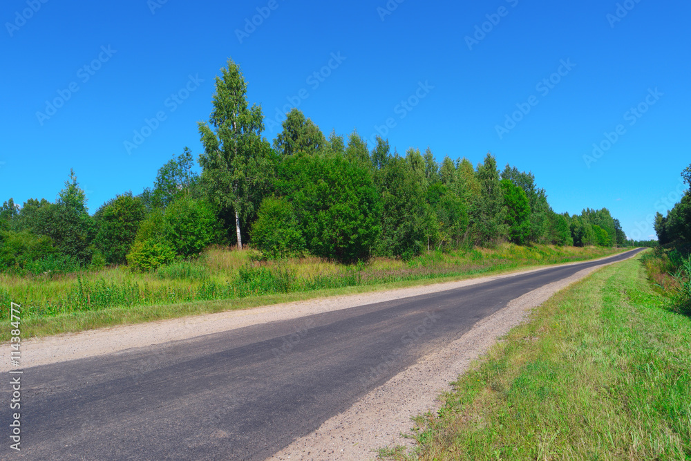 Empty highway through green forest