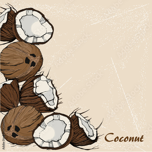 coconut hand drawn 5