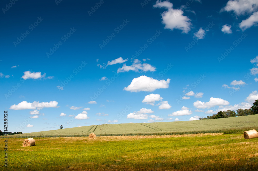 Gold bales on green grass and blue sky with clouds