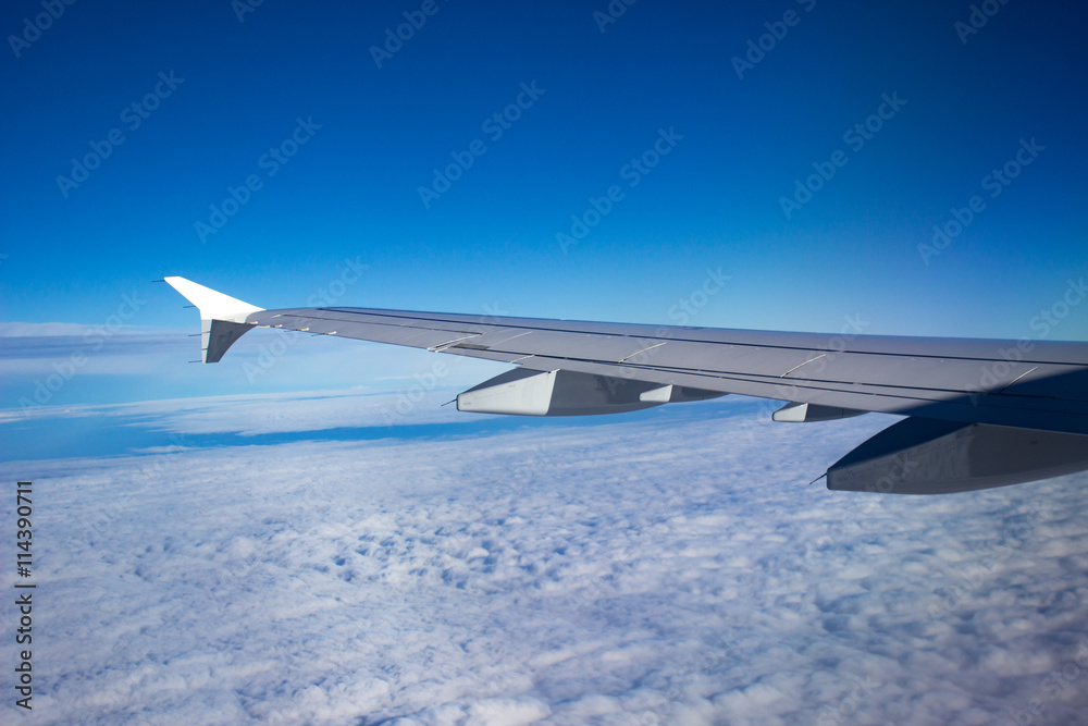 Obraz premium Fly above the clouds