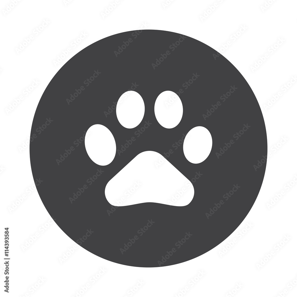 White Rss icon on black button isolated on white White Rss icon on black button isolated on white