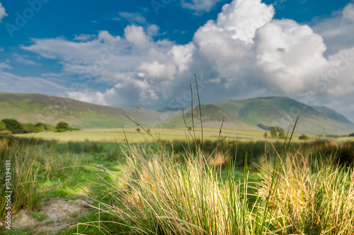 Grass Spikelets on Blurred Background with Clouds and Hills