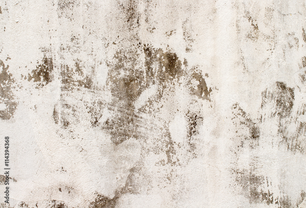 Obraz premium white concrete wall texture