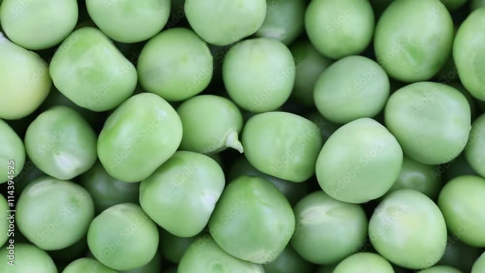 Fresh green pea rotate. Green pea clockwise rotation . Close up Fresh green pea rotate. Green pea clockwise rotation . Close up