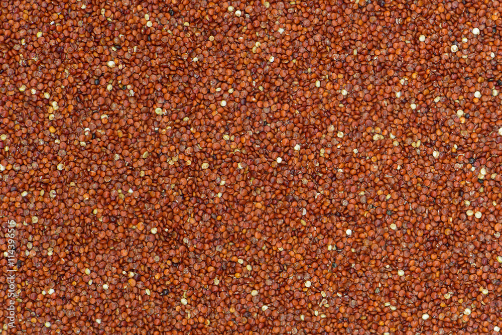 Red Quinoa seed background Red Quinoa seed background