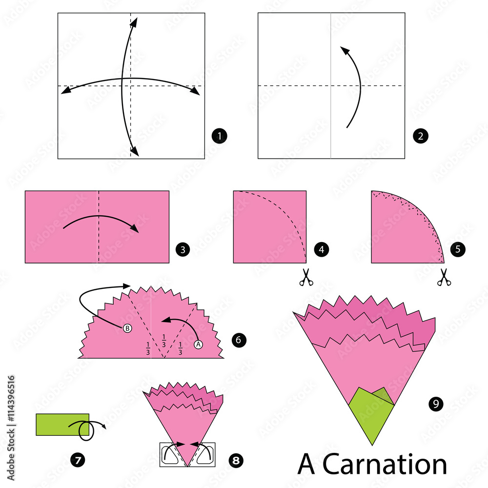 Step by step instructions how to make origami A Carnation. Stock Vector