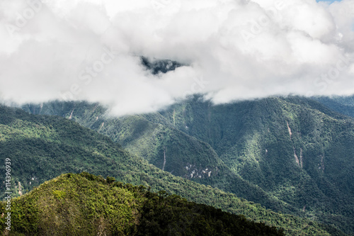 Tropical montane cloud forest, Ecuador