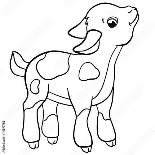 Coloring pages. Farm animals. Little cute goatling smiles.