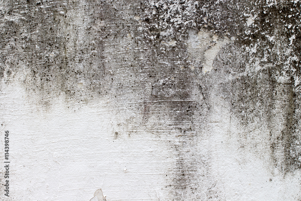 Obraz premium white concrete wall texture