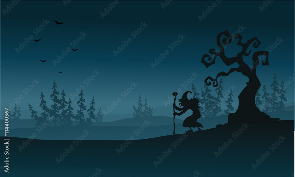 Silhouette of spruce fores and witch Halloween Silhouette of spruce fores and witch Halloween