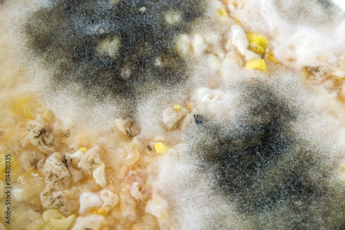 Mold on food and taxture and background
