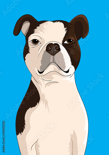 Dog vector on blue