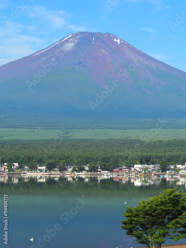 夏富士　富士山 © aquiheleau