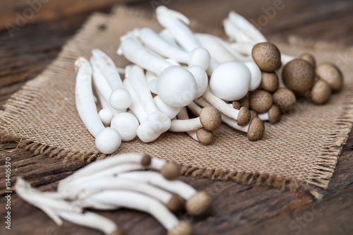 shimeji mushrooms on sackcloth and wooden background