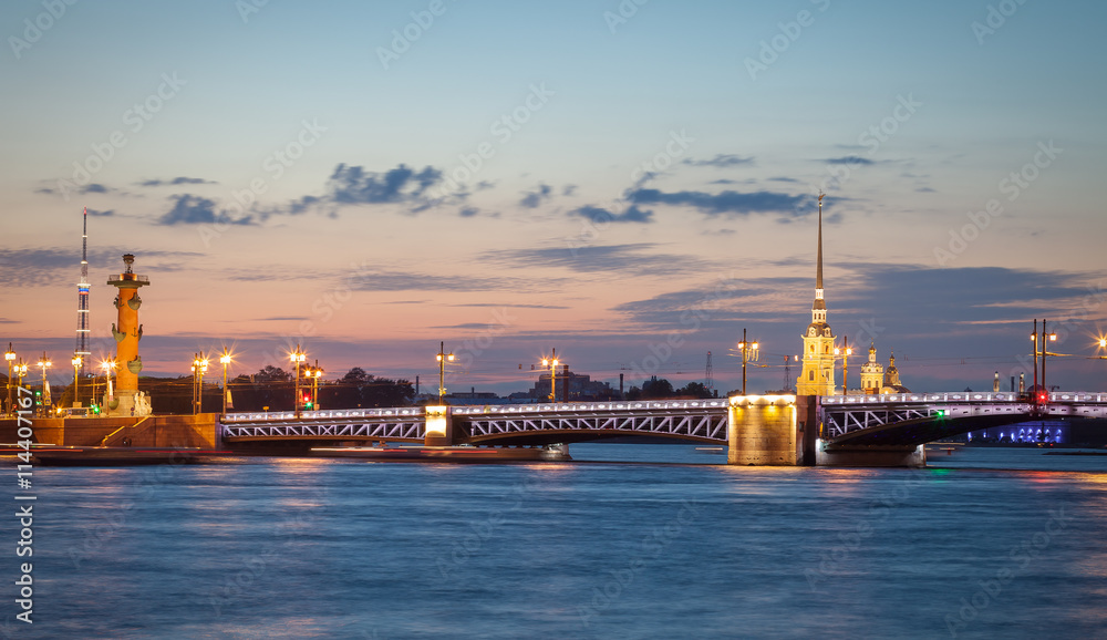 Palace bridge, Peter and Paul Cathedral at night. Saint Petersburg