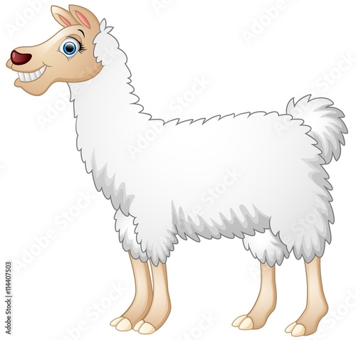 Cute alpaca cartoon