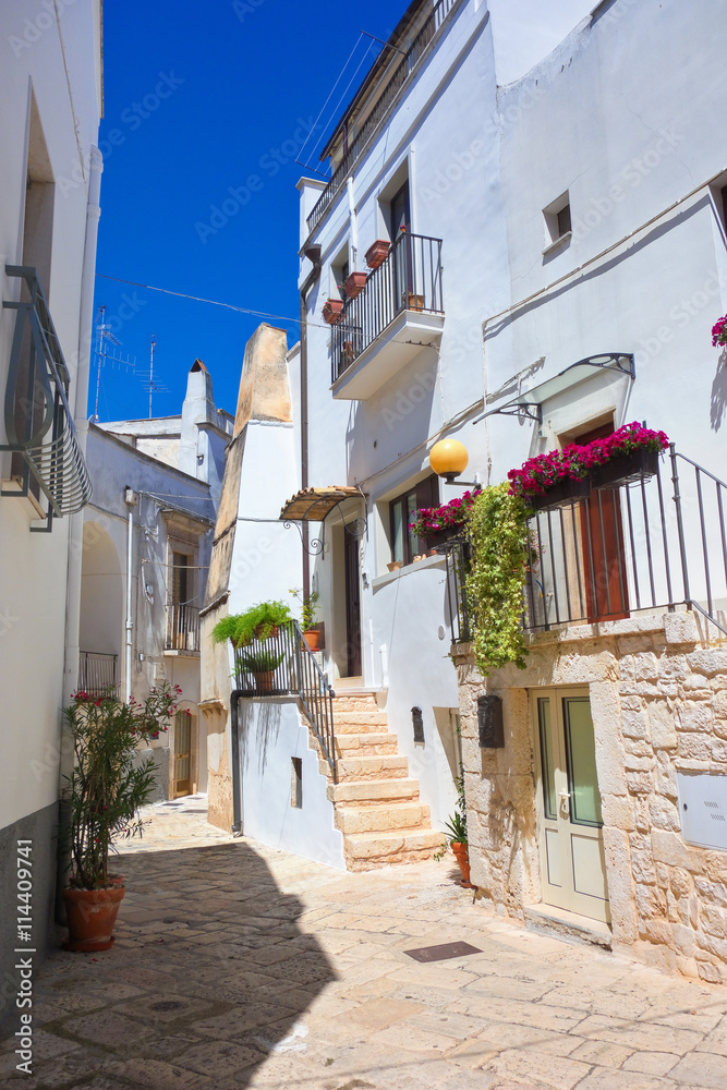 Fototapeta premium Alleyway. Turi. Puglia. Italy. 