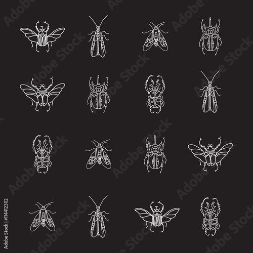 Vector seamless pattern with beetles on black background