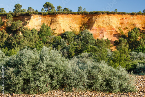 Vegetación y talud de arcilla en la ribera del Río Eria, Nogarejas, León. photo