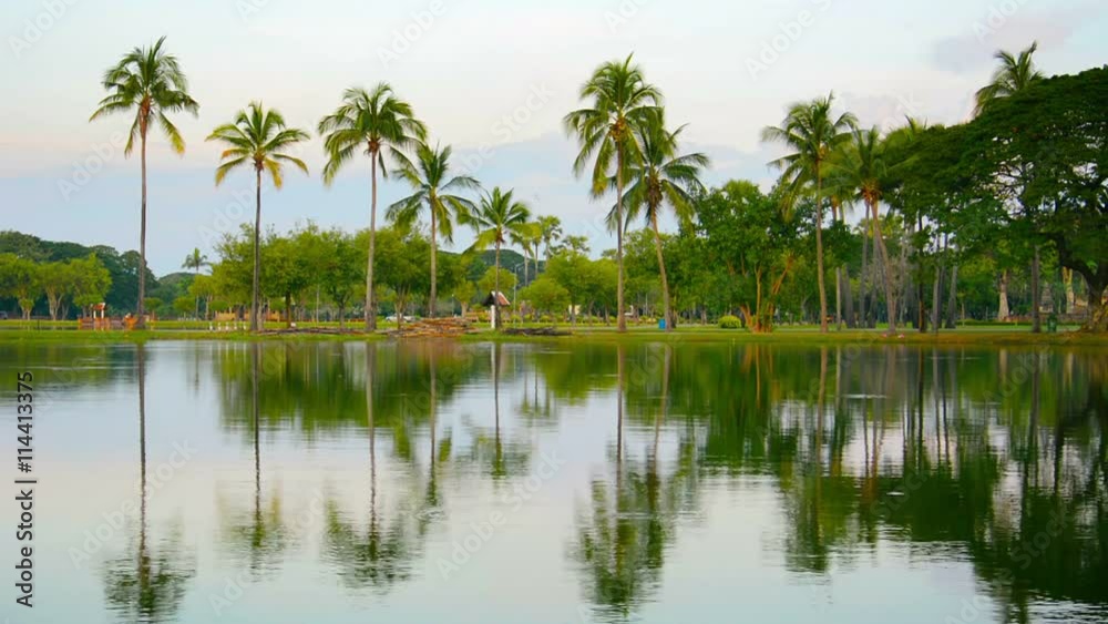 1920x1080 video - Beautiful palm trees, reflected in the calm surface of a pond in Sukhothai, Thailand, in the late afternoon light. 1920x1080 video - Beautiful palm trees, reflected in the calm surface of a pond in Sukhothai, Thailand, in the late afternoon light.