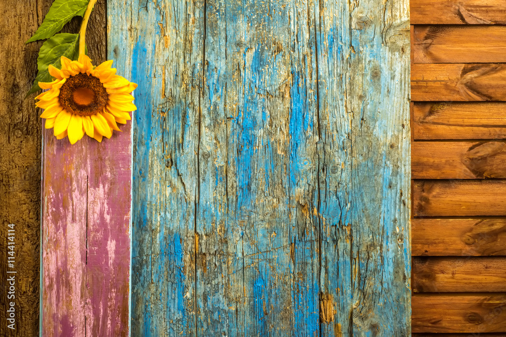 Sunflower wooden background