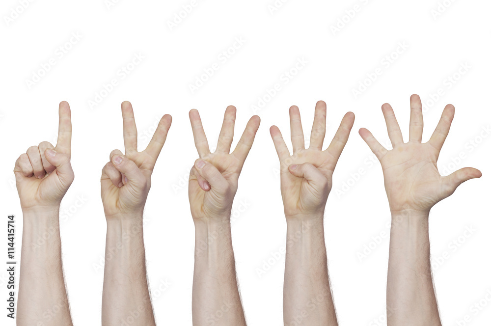 male hand showing fingers from one to five male hand showing fingers from one to five