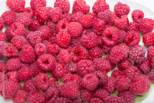 A beautiful selection of freshly picked ripe red raspberries.