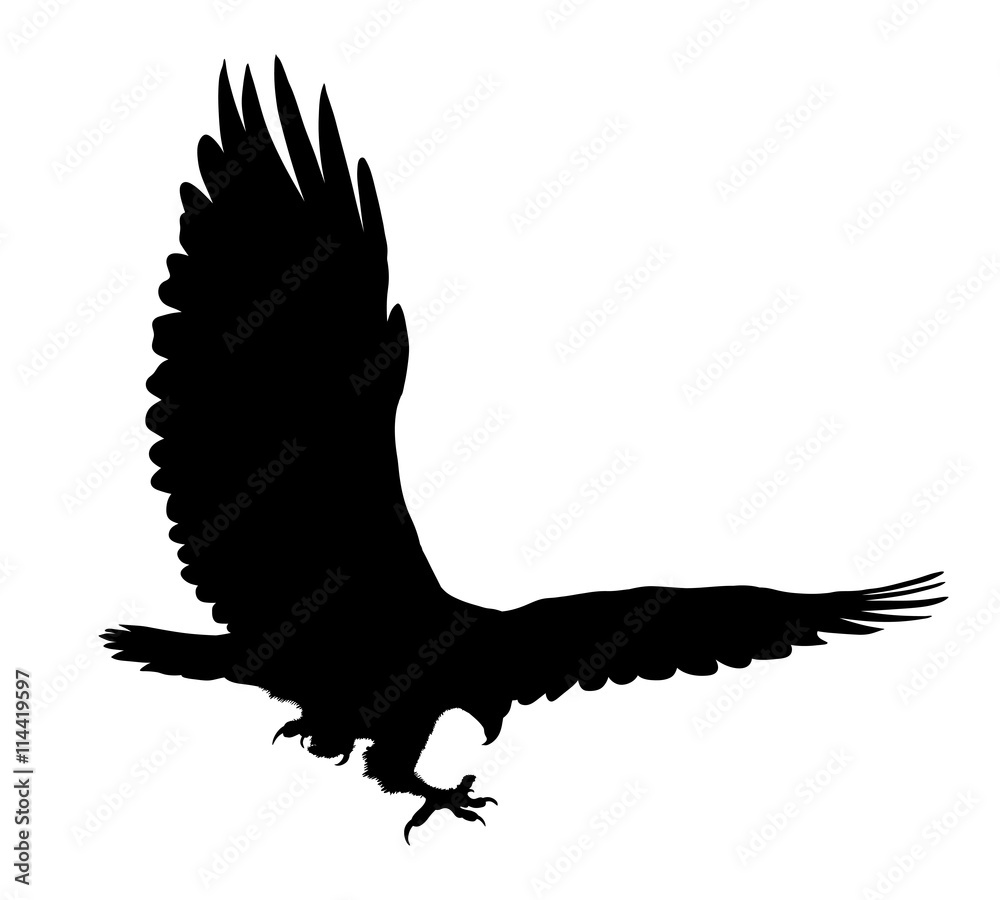 Fototapeta premium Eagle flying silhouette isolated on white background. Vector illustration