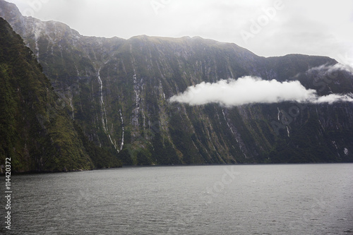 Billede på lærred Clouds floating in Milford Sound.
