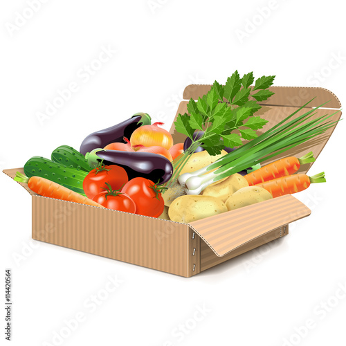 Vector Carton Box with Vegetables