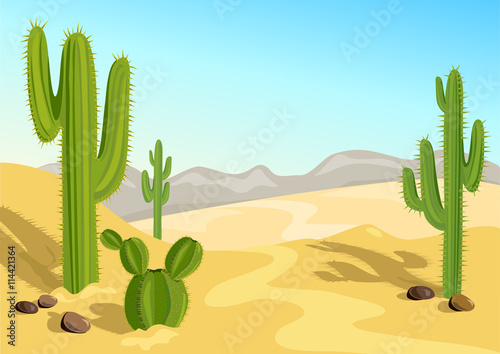 cactus in the desert. natural background