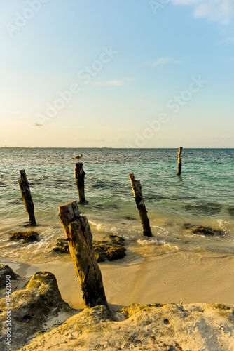 Evening of Cancun beach © shamosan