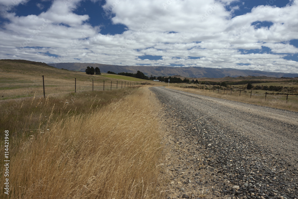 Obraz premium Deserted road in central Otago