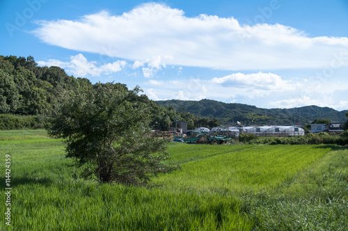 Wallpaper Mural 香川県　豊島の風景 Torontodigital.ca