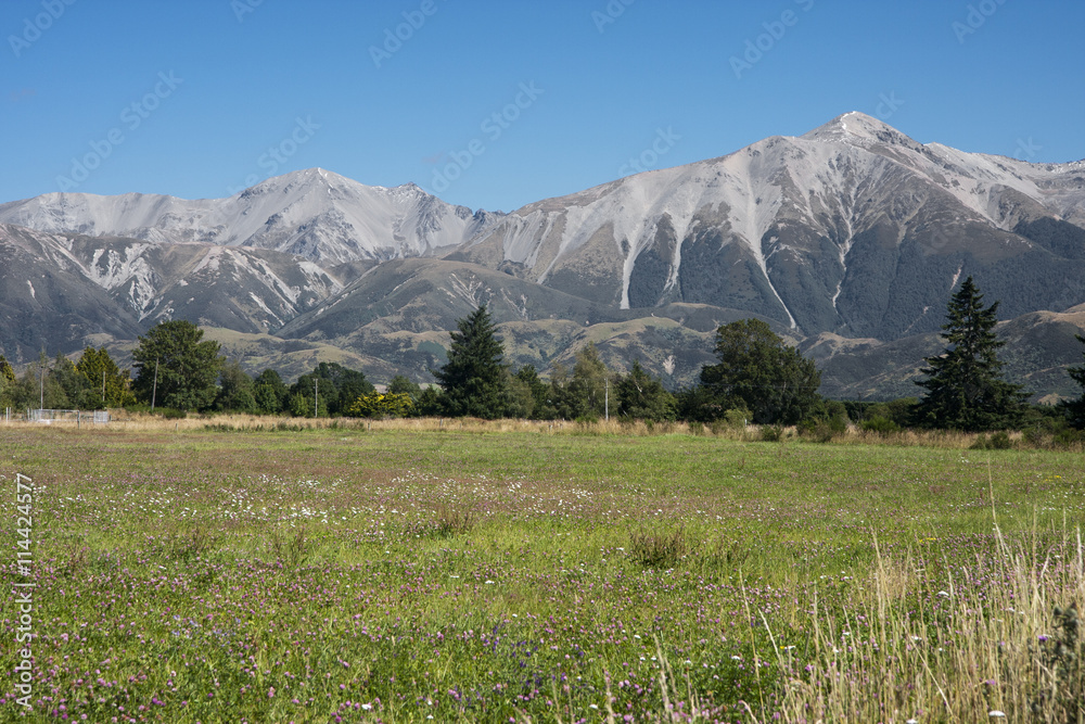 Obraz premium Southern Alps seen from Springfield railway station.