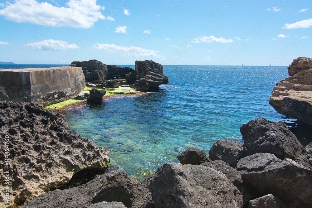 Rocky landscape with green seagrass