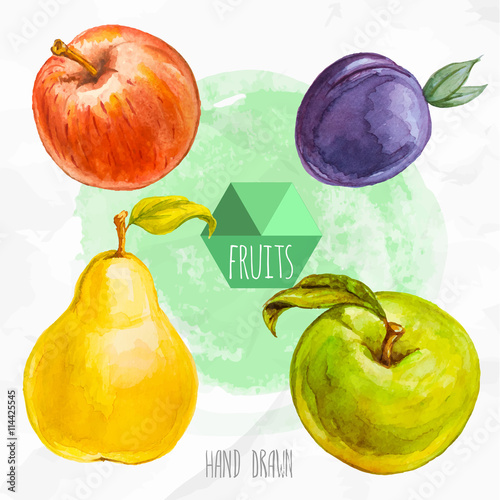 Watercolor hand painted fruit set. Eco food illustration. Watercolor green background. Red and green apple, pear and plum.